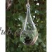 Syndicate Home &amp; Garden Teardrop Hanging Terrarium   